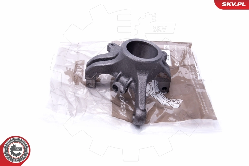 Steering Knuckle, wheel suspension